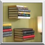 Popcorn- Bookshelves