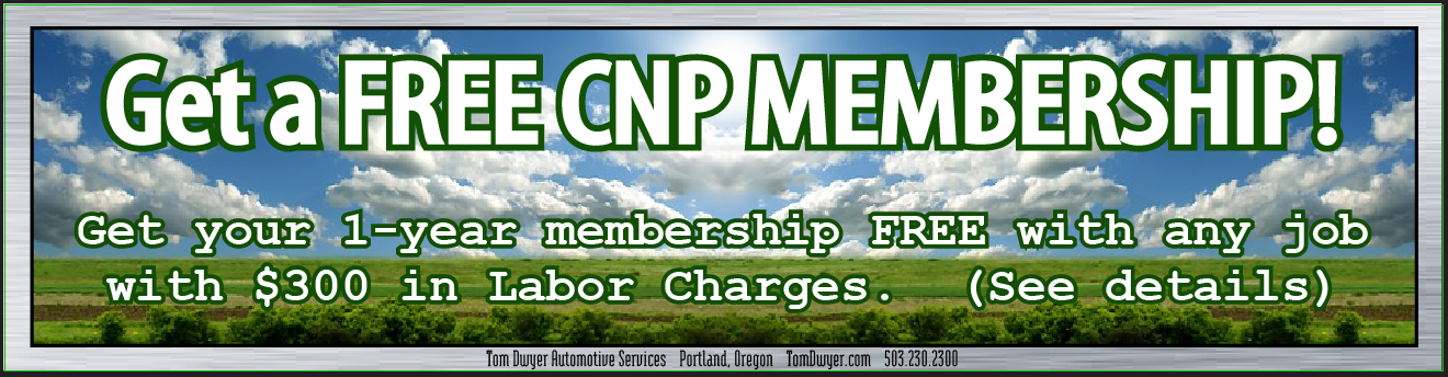 Coupon- CNP free w purch