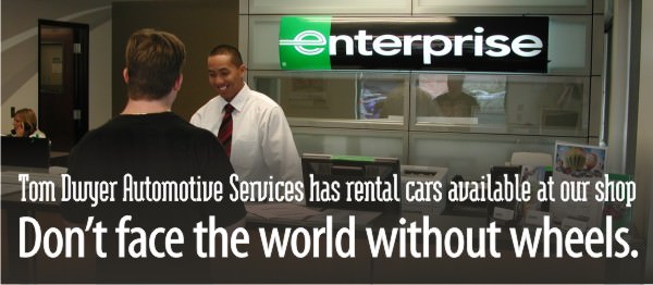 Rental-Cars