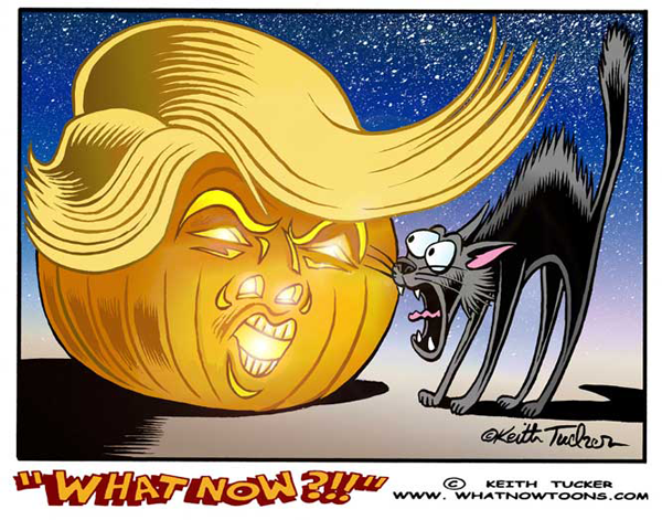 Trumpkin-what-now-533-sm-color-72-dpi
