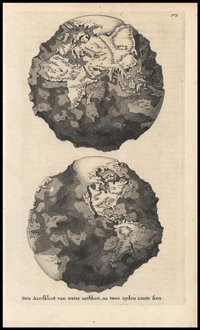 strange-18lmr32oxdv6sjpg