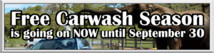 Free-Carwash-Season