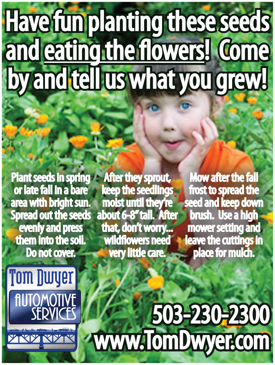 Seed Packet stickers v3