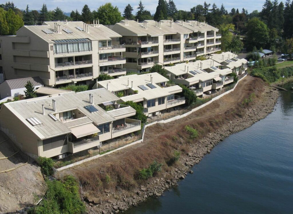 eastbank-trail-by-sellwood-harbor-is-visible-after-goats-removed-blackberries