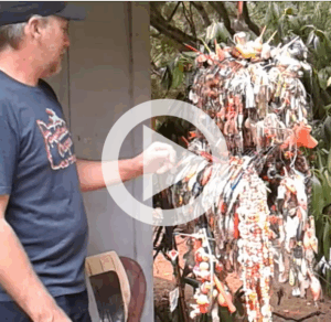 Don't miss this :20 of a full turnaround of the sculpture