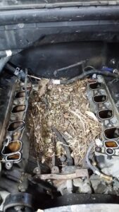 20180702_151655_resized