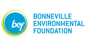 BEF logo