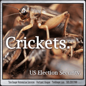 Furious- Crickets