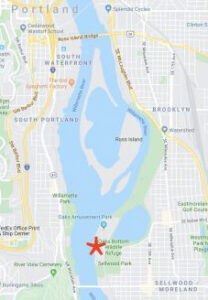 Screen-Shot- cyclocross